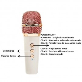 Portable Wireless KTV Speaker System (with 2 Wireless Microphones)
