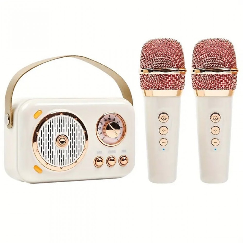 Portable Wireless KTV Speaker System (with 2 Wireless Microphones)