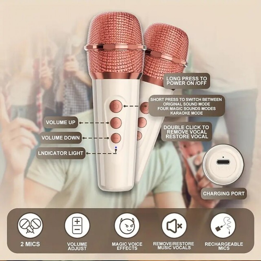 Portable Wireless KTV Speaker System (with 2 Wireless Microphones)