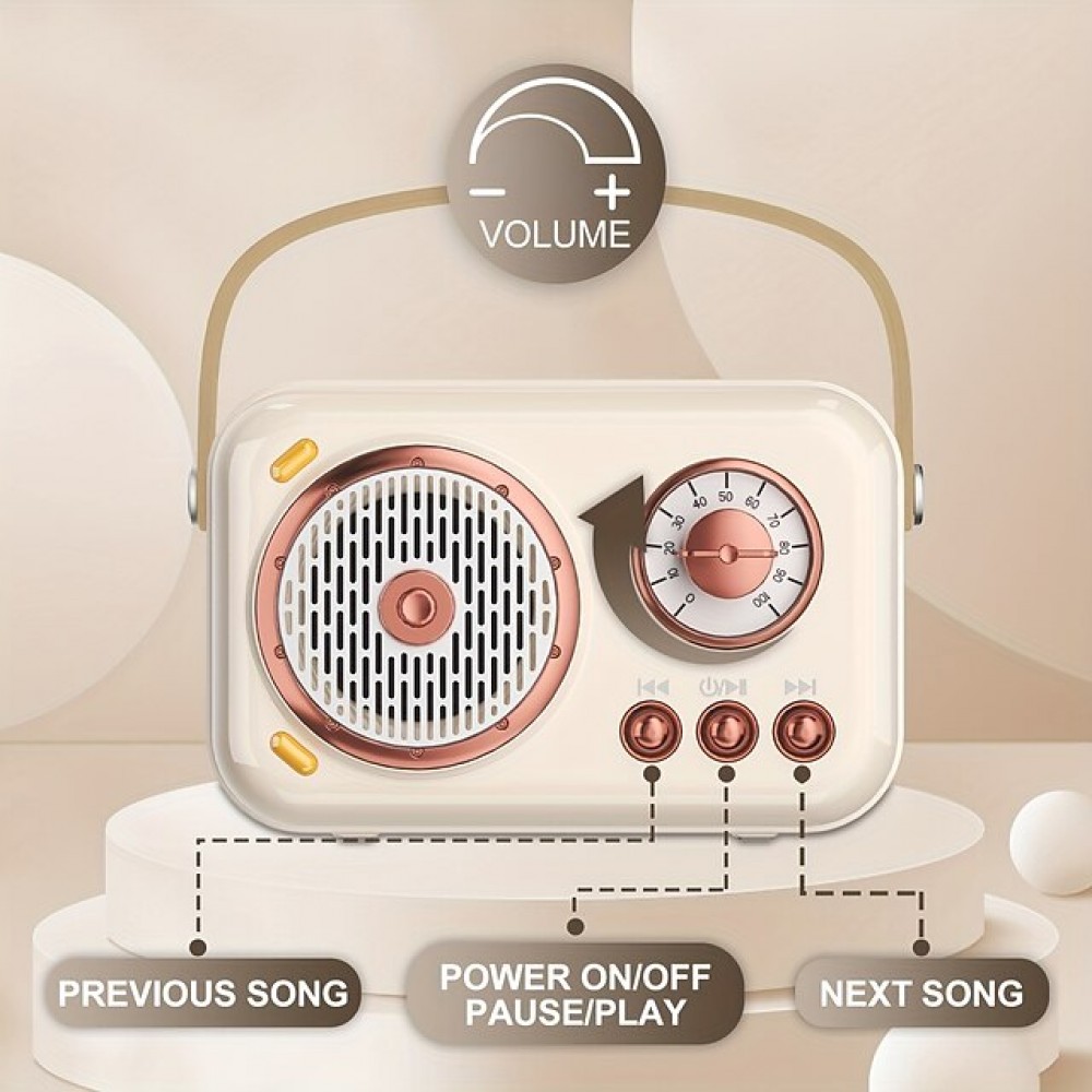 Portable Wireless KTV Speaker System (with 2 Wireless Microphones)