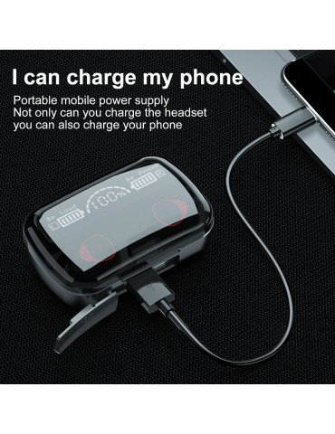 M10A True Wireless Bluetooth 5.1 Earbuds with LED Power Display & USB-Powered Charging Case