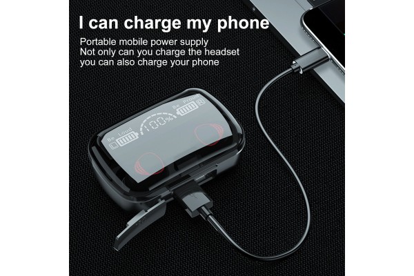 M10A True Wireless Bluetooth 5.1 Earbuds with LED Power Display & USB-Powered Charging Case